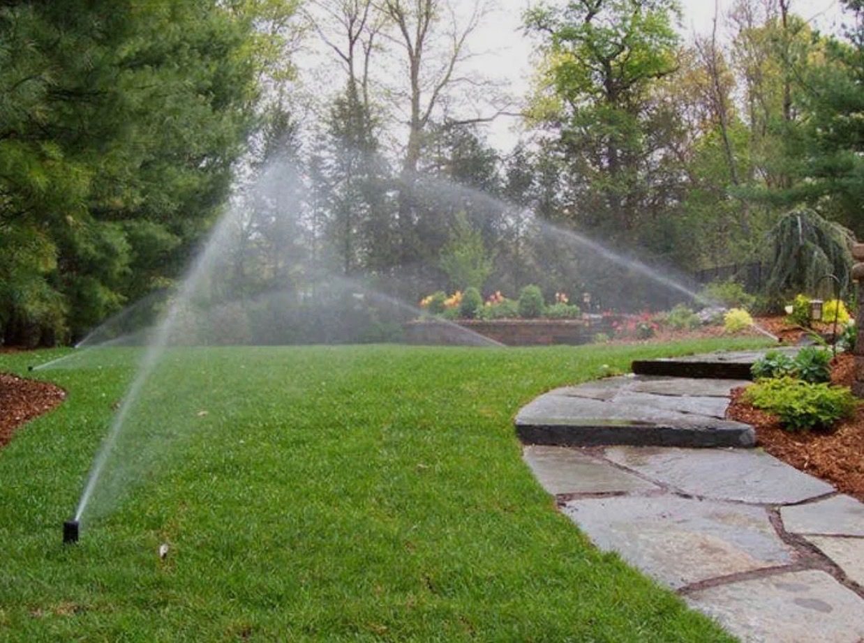 Manicured lawn with irrigation and flagstone walkway