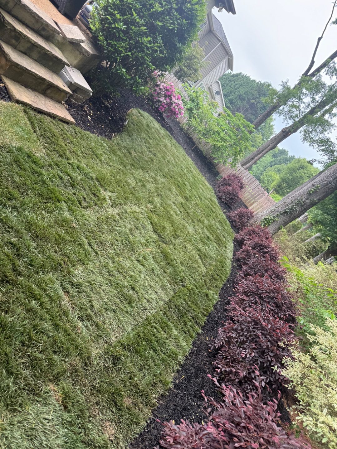Sod Lawn Mulch Shrub Bed — project by Andrew's Landscaping
